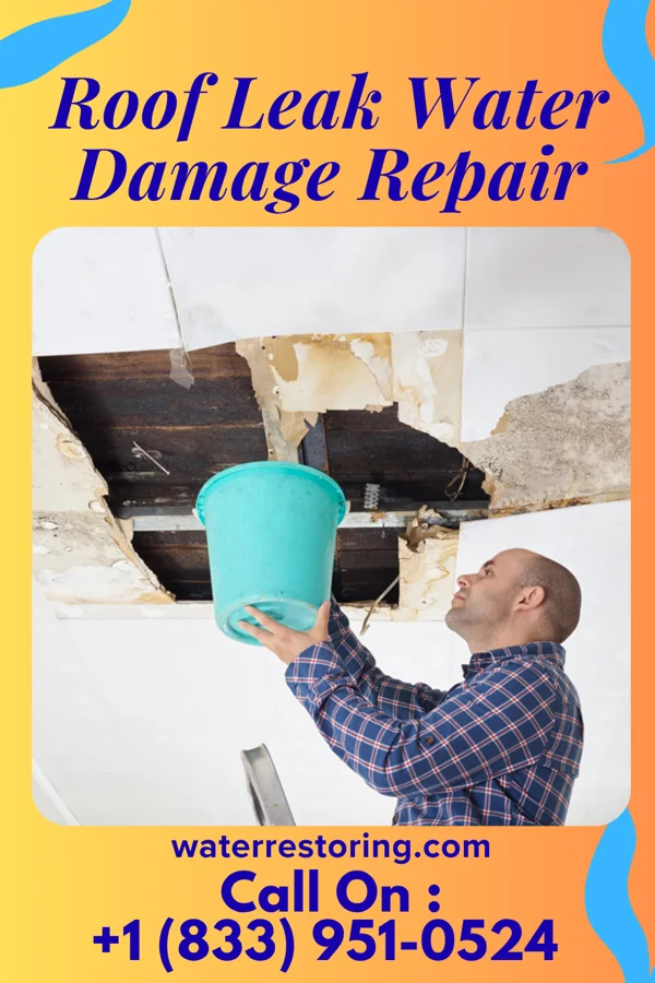 Roof Leak Water Damage Repair in Windom, TX